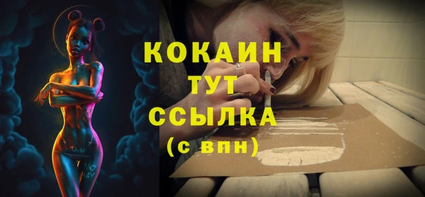 ECSTASY Няндома