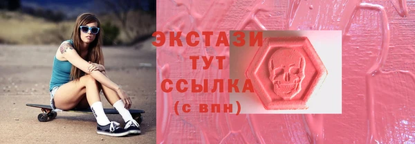 ECSTASY Няндома