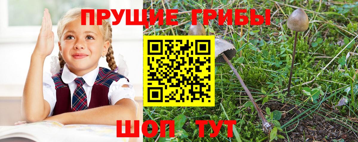 Псилоцибиновые грибы мухоморы Снежинск