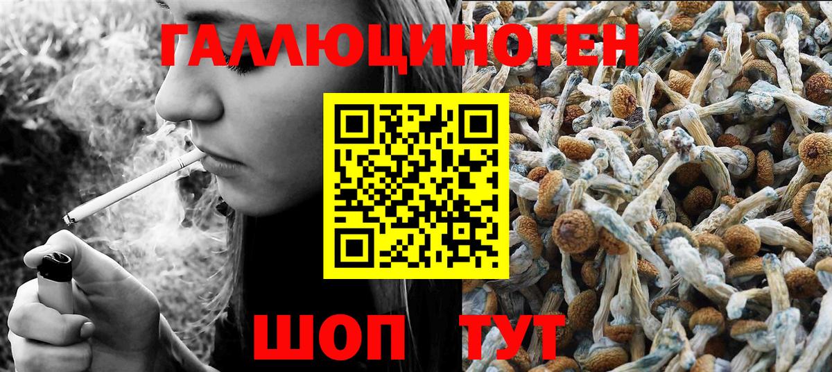 Снежинск  Псилоцибиновые грибы Psilocybine cubensis  Вход с VPN 